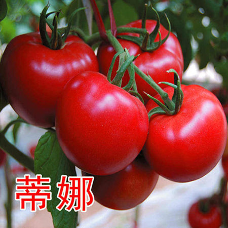 Ʒ**--mM(jn)c(din)鿴Ԕ(x)Ϣ