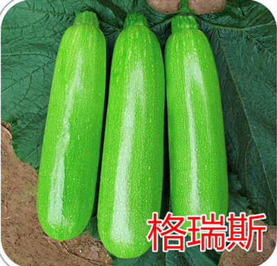 Խ**˹c(din)鿴Ԕ(x)Ϣ