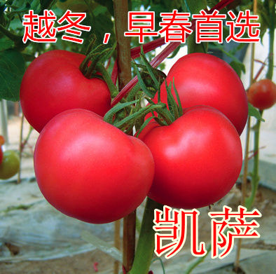 ۹--mM(jn) ?jing)P_c(din)鿴Ԕ(x)Ϣ