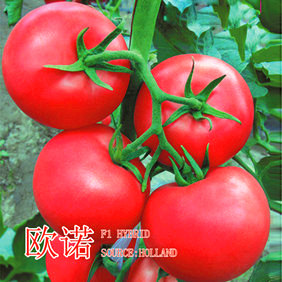 Խ**ƷNO͟c(din)鿴Ԕ(x)Ϣ