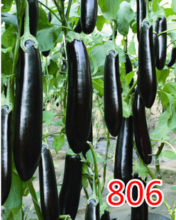 806GLѷNc(din)鿴Ԕ(x)Ϣ