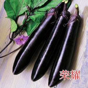 sҫLc(din)鿴Ԕ(x)Ϣ