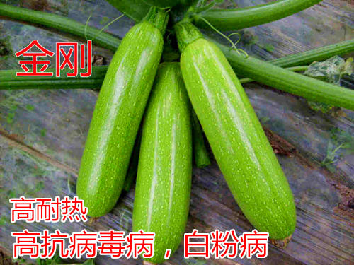 Խ**c(din)鿴Ԕ(x)Ϣ