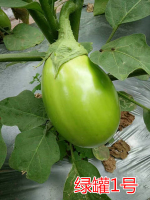 Gһ̖c(din)鿴Ԕ(x)Ϣ