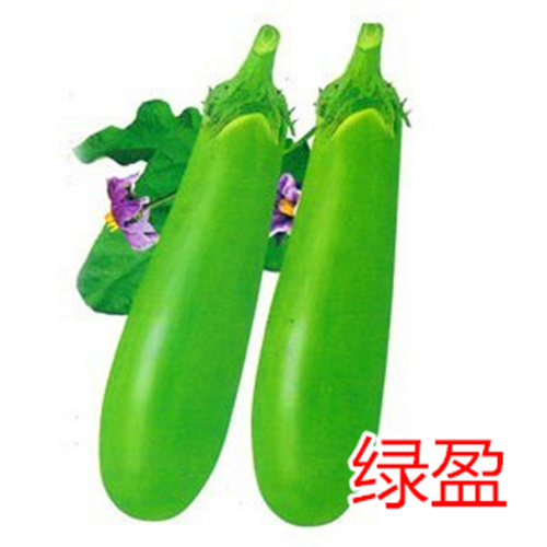 GӯLc(din)鿴Ԕ(x)Ϣ