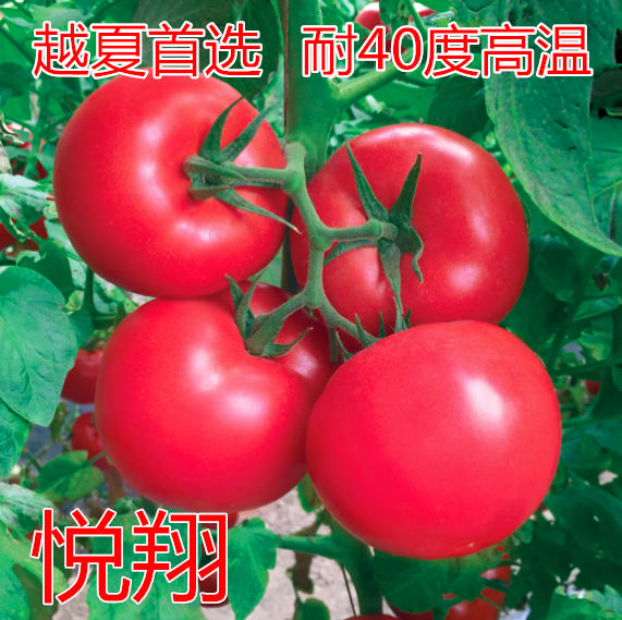 Խķ۹(bio)Uc(din)鿴Ԕ(x)Ϣ