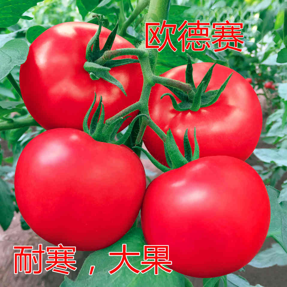 Wِ۹(bio)Uc(din)鿴Ԕ(x)Ϣ